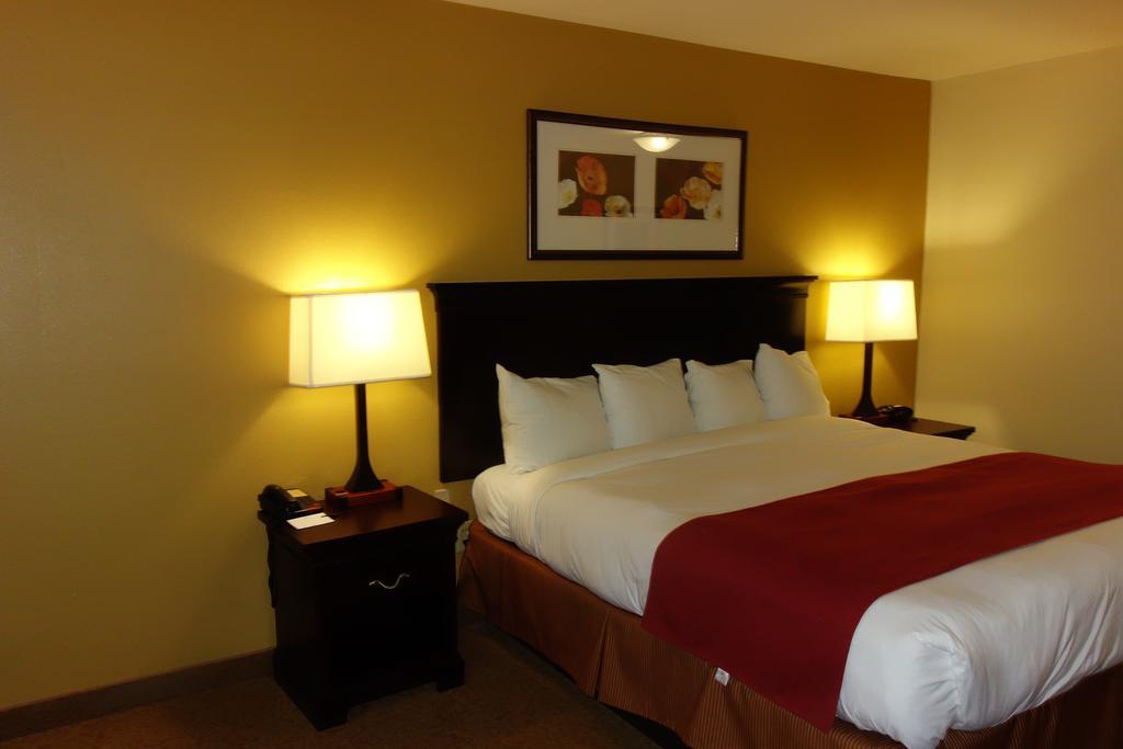 Comfort Inn & Suites Rome South מראה חיצוני תמונה